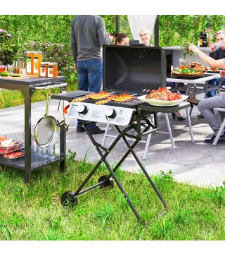 Barbacoa de Gas con 2 Quemadores 5,6 KW Tapa Termómetro Mesas Laterales y 2 Ruedas 101x50x102 cm Negro