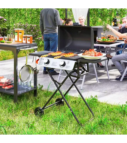 Barbacoa de Gas con 2 Quemadores 5,6 KW Tapa Termómetro Mesas Laterales y 2 Ruedas 101x50x102 cm Negro