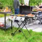 Barbacoa de Gas con 2 Quemadores 5,6 KW Tapa Termómetro Mesas Laterales y 2 Ruedas 101x50x102 cm Negro Barbacoa de Gas con 2 Quemadores 5,6 KW Tapa Termómetro Mesas Laterales y 2 Ruedas 101x50x102 cm Negro