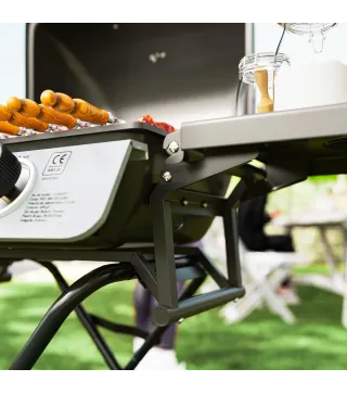 Barbacoa de Gas con 2 Quemadores 2,8 KW Tapa Termómetro Mesas Laterales y 2 Ruedas 101x50x102 cm Negro