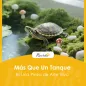 Acuario para Tortugas Terrario de Tortugas con Plataforma Rampa y Vista Panorámica 360° 60x35x28 cm Blanco