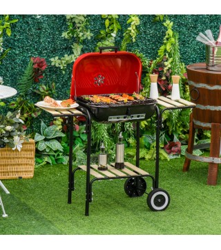 Barbacoa de Carbón