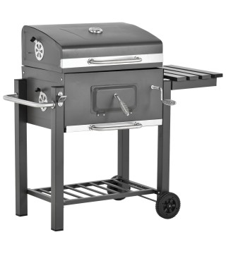Barbacoa de Carbón