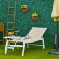Tumbona Reclinable Tumbona Reclinable