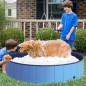 Piscina para Mascotas Piscina para Mascotas