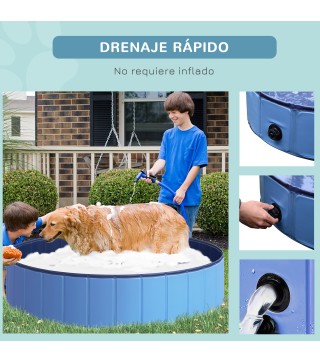 Piscina para Mascotas