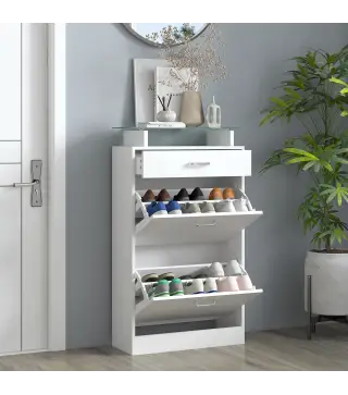 Organizador de Zapatos