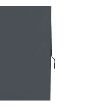 Toldo Vertical Exterior 200x305 cm Pantalla de Privacidad Enrollable Ajustable con Manivela Protección UV 40+ Gris