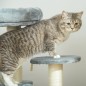 Árbol para Gatos Árbol para Gatos