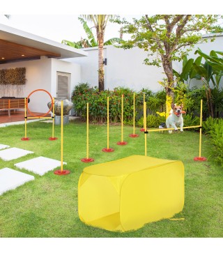 Conjunto de Entrenamiento para Mascotas
