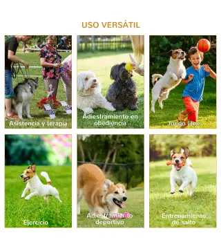 Conjunto de Entrenamiento para Mascotas