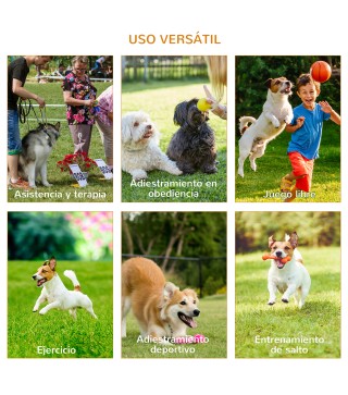 Conjunto de Entrenamiento para Mascotas