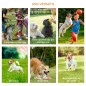 Conjunto de Entrenamiento para Mascotas Conjunto de Entrenamiento para Mascotas