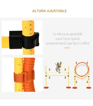 Conjunto de Entrenamiento para Mascotas