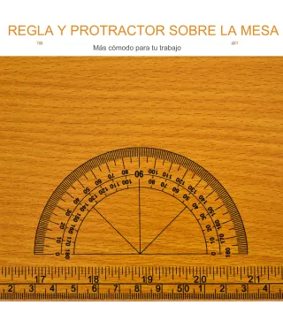 Banco de Trabajo Plegable con Regla Transportador Carga 100 kg 100x60x75,5 cm Natural y Negro