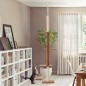 Árbol para Gatos Árbol para Gatos