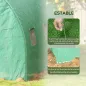 Invernadero de Túnel 6x3x2 m con Sistema de Riego Integrado 12 Ventanas con Malla y 1 Puerta Enrollable Verde