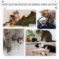 Árbol para Gatos Árbol para Gatos