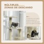 Árbol para Gatos