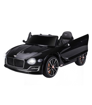 Coche Eléctrico