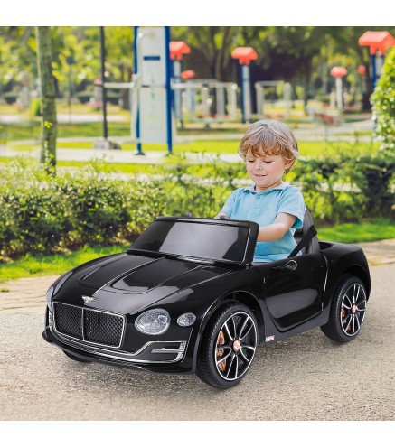 Coche Eléctrico