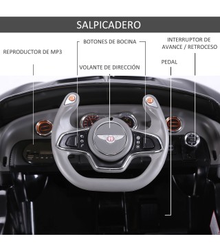 Coche Eléctrico