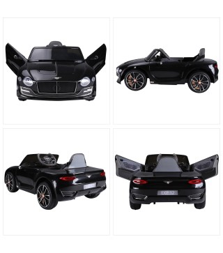 Coche Eléctrico