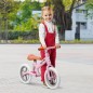 Bicicleta sin Pedales Bicicleta sin Pedales