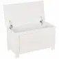 Baúl de Almacenaje con Tapa Baúl de Almacenaje Versátil con Bisagra de Seguridad para Pasillo Salón 81x40x46 cm Blanco