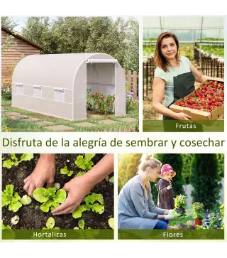 Invernadero de Túnel