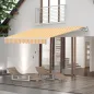 Toldo de Pared con Brazo Articulado y Manivela Marco Resistente de Aluminio y Cubierta de Poliéster 295x245 cm Naranja