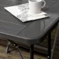 Mesa Plegable de Jardín Rectangular Portátil para 6 Personas de Acero y HDPE 180x75,5x73 cm Gris Oscuro