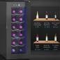 Vinoteca 12 Botellas con Doble Refrigeración Termoeléctrica Temperatura Ajustable 8-18℃ Puerta de Vidrio Negro