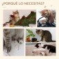 Árbol para Gatos Árbol para Gatos