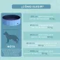 Piscina Plegable para Perros Gatos Ø100x30 cm Bañera Portátil para Mascotas PVC Antideslizante Múltiples Usos Color Azul Piscina Plegable para Perros Gatos Ø100x30 cm Bañera Portátil para Mascotas PVC Antideslizante Múltiples Usos Color Azul