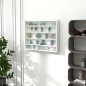 Vitrina de Pared Vitrina de Pared