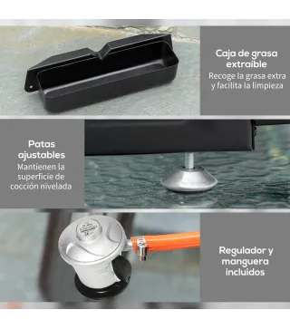 Plancha de Gas Sobremesa con 2 Quemadores de Acero Inoxidable 6 kW con Plancha para Jardín Camping 48,5x48x21 cm Plata