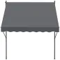 Toldo Manual Retráctil 200x175x210-310 cm Ajustable con Manivela Protección Solar UV40+ para Balcón Terraza Gris