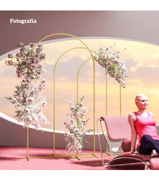 Set de 3 Arcos de Jardín para Rosas de Metal de 220/200/180 cm con Recubrimiento en Polvo para Patio Terraza Dorado