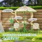 Conjunto Infantil de Jardín Plegable con 2 Sillas Mesa y Sombrilla Ajustable para Niños de 2 a 5 Años Verde