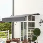 Toldo Manual Retráctil para Jardín con Manivela Protección UV Estructura de Metal y Aluminio 295x200 cm Gris