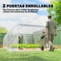 Invernadero de Túnel 6x3x2 m con 2 Puertas Enrollables Estructura de Acero Galvanizado Cubierta PE Anti-UV Transparente
