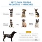 Cama Elevada para Mascotas