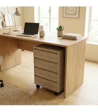 Cajonera de Oficina con 4 Cajones Cajonera de Escritorio con Ruedas para Estudio 46x40x65 cm Marrón