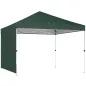 Carpa Plegable Pop-up 3x3 m con Pared Lateral UPF50+ Altura Ajustable Empuje Central Bolsa de Transporte Verde