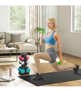 Juego de Mancuernas 2x1kg 2x2kg 2x3kg 2x4kg con Soporte de Almacenamiento para Ejercicio Entrenamiento Multicolor