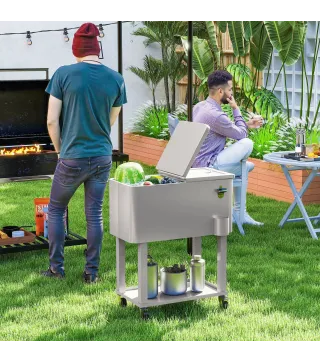 Carro Nevera con Ruedas Abrebotellas y Estante 56L para Patio Fiesta Terraza 67x35x80 cm Gris Claro