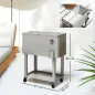 Carro Nevera con Ruedas Abrebotellas y Estante 56L para Patio Fiesta Terraza 67x35x80 cm Gris Claro