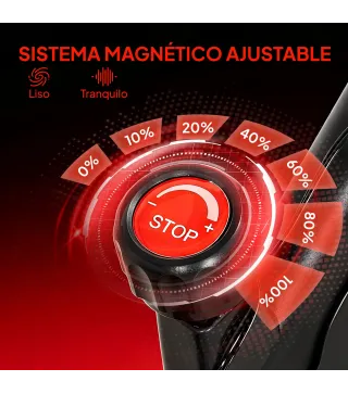 Bicicleta Estática en Casa con Resistencia Magnética Regulable Pantalla LCD Asiento y Manillar Ajustables Ruedas Negro