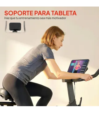 Bicicleta Estática en Casa con Resistencia Magnética Regulable Pantalla LCD Asiento y Manillar Ajustables Ruedas Negro